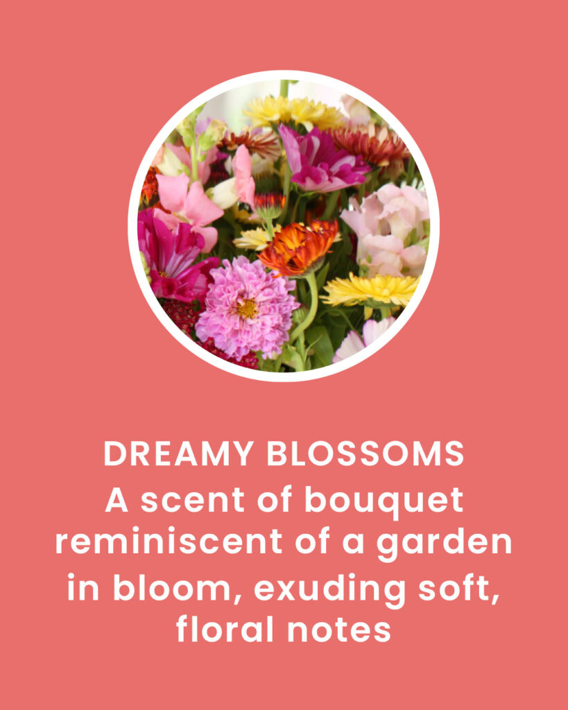 Dreamy Blossoms