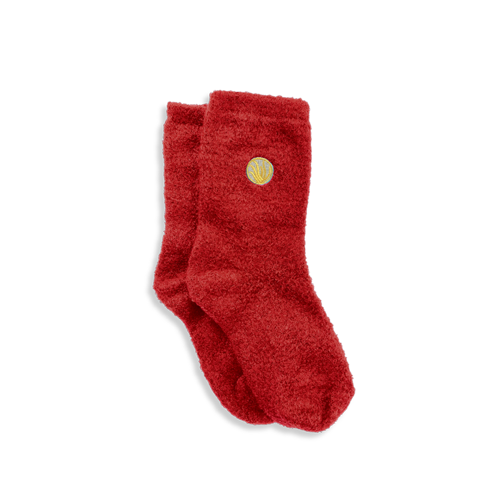 FREE Aloe Socks